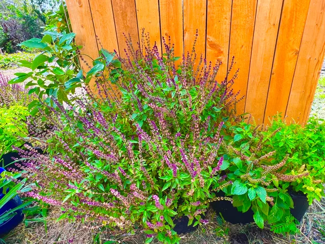 $319,000 | 94-6479 Puukani Road, Naalehu, HI 96772