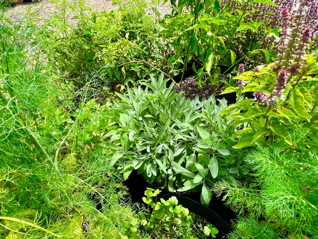 $319,000 | 94-6479 Puukani Road, Naalehu, HI 96772