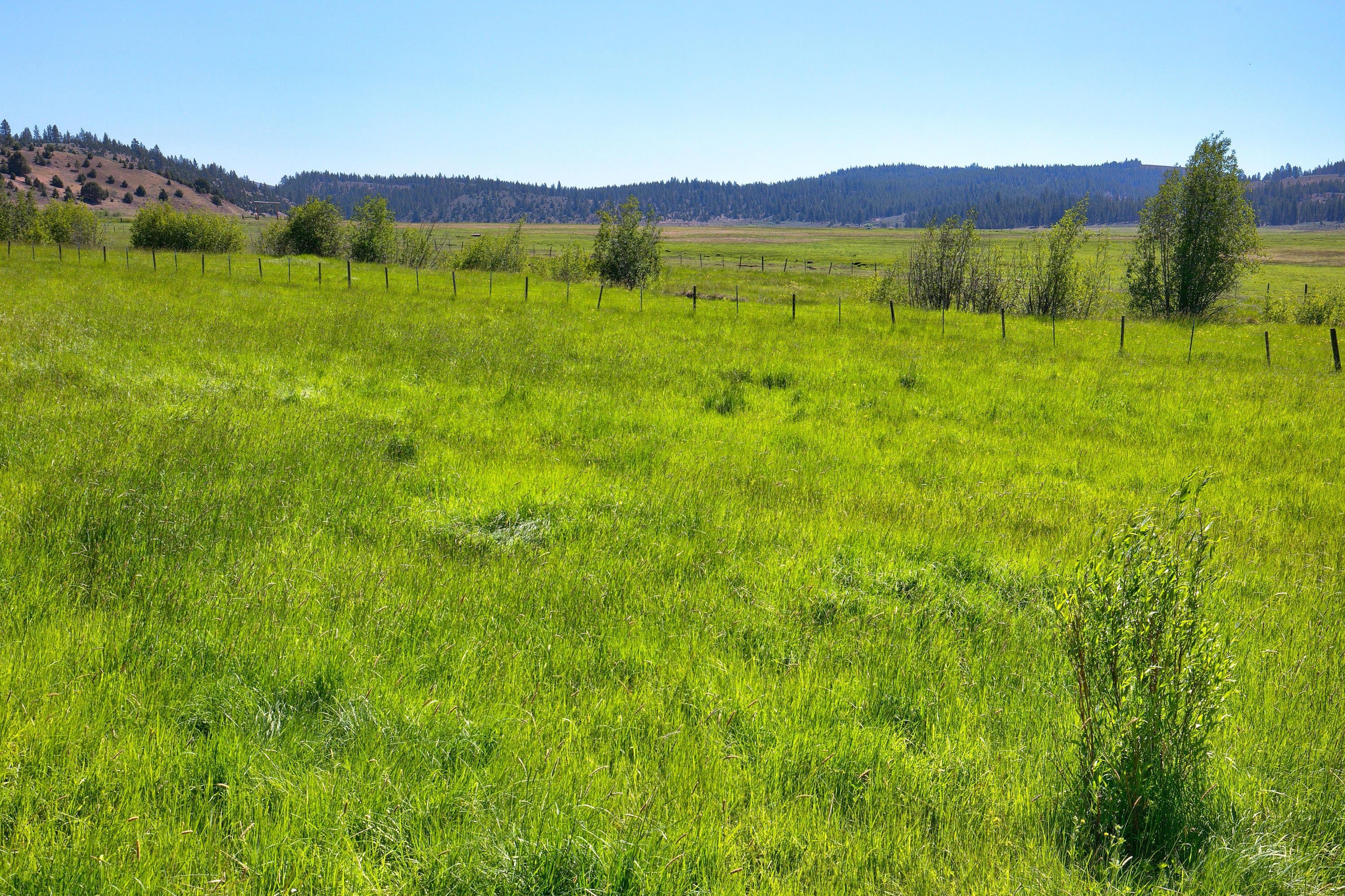21762 Badger Creek Road Mitchell, OR 97750 - Photo 39 of 54 39 Badger Creek Ranch_010