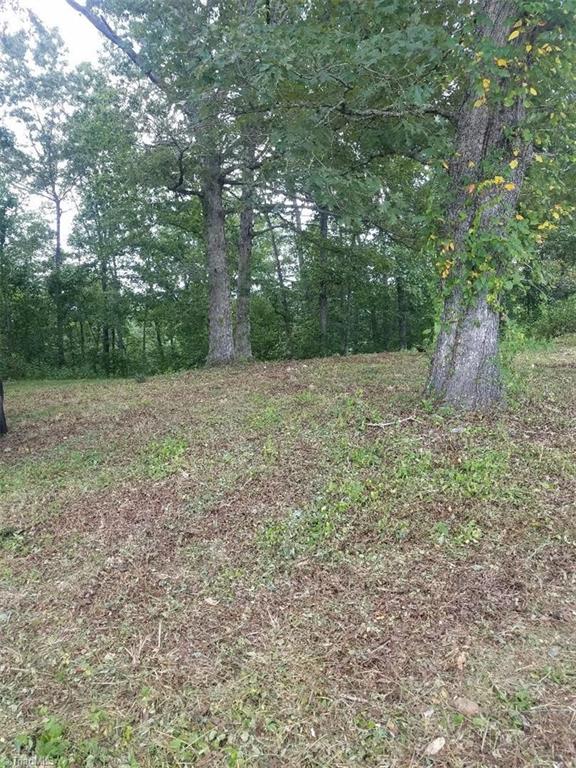 0 Hidden Valley Road Lowgap, NC 27024 - Photo 1 of 9 Gallery Image 1