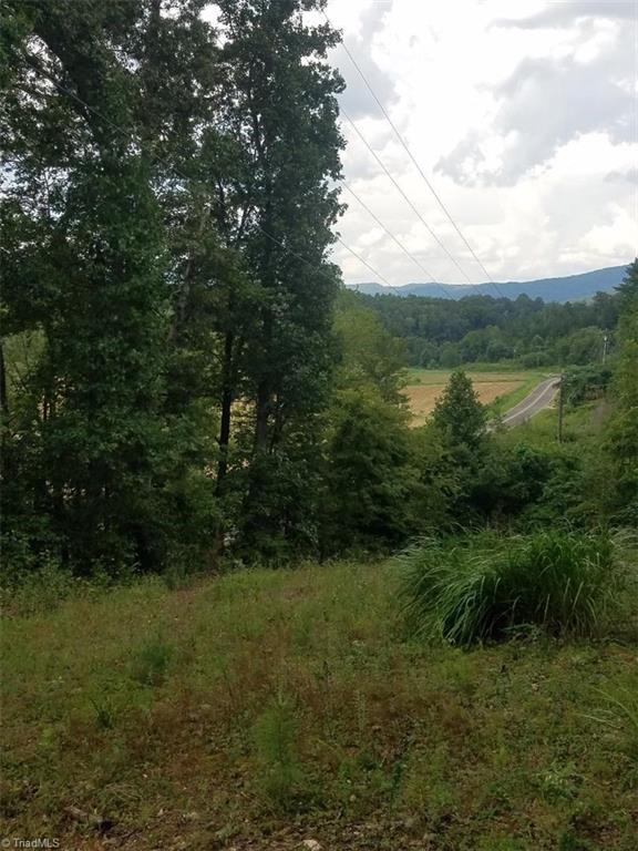 0 Hidden Valley Road Lowgap, NC 27024 - Photo 3 of 9 Gallery Image 3