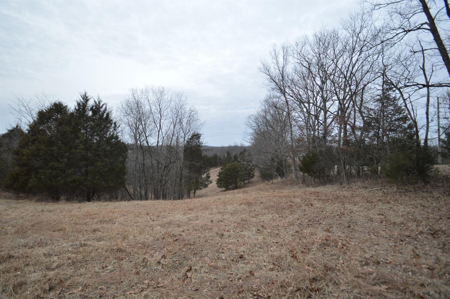 1170 Dennis Road, Unit 9 Lawrenceburg, KY 40342 - Photo 12 of 12 Photo 12