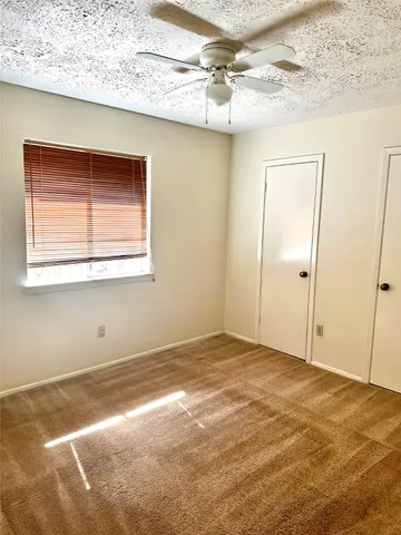 a view of a backyard with large tree and wooden fence