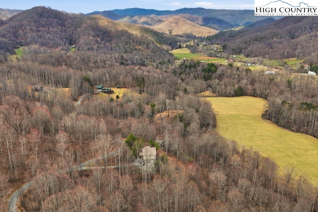 408 Eagle Ridge Road Roan Mountain, TN 37687 - Photo 37 of 45 a view of a city