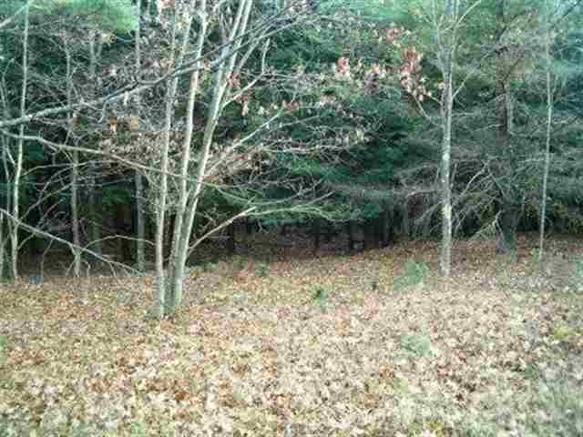 0 Robinson Road Gilboa, NY 12076 - Photo 1 of 3 Photo 1