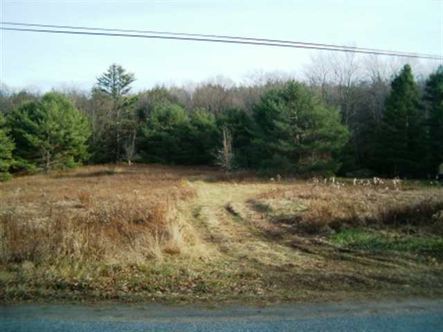 0 Robinson Road Gilboa, NY 12076 - Photo 3 of 3 Photo 3