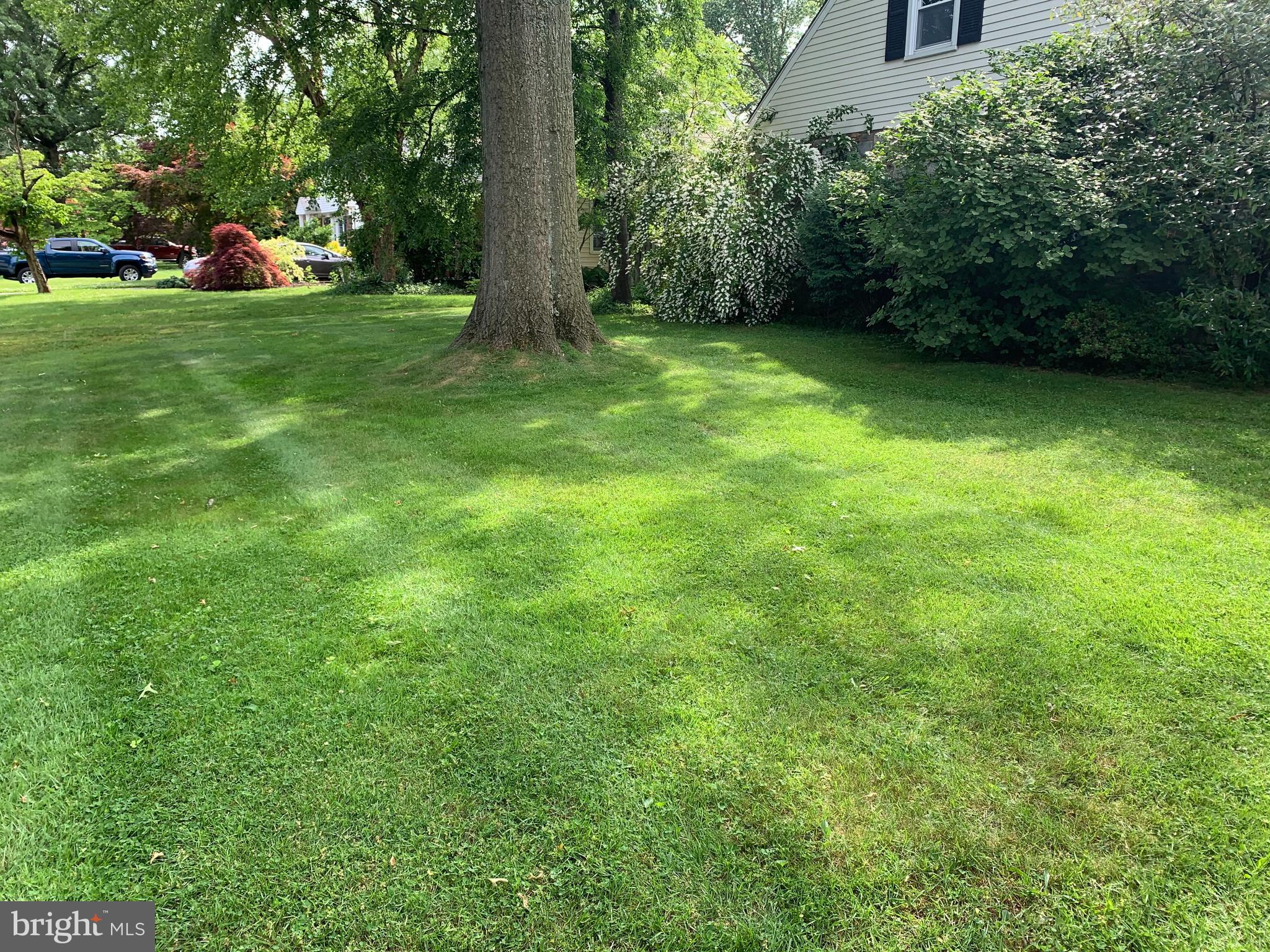 501 Burton Road Oreland, PA 19075 - Photo 22 of 32 left corner huge side yard for a ball game.