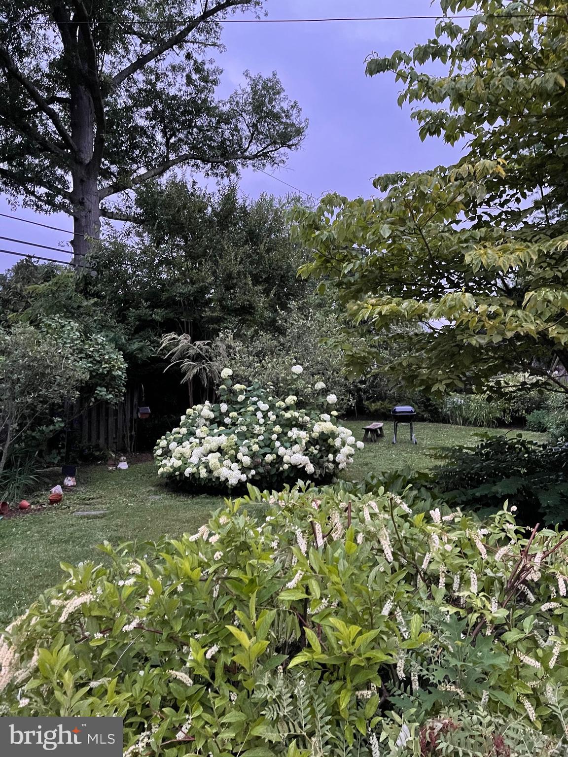 501 Burton Road Oreland, PA 19075 - Photo 30 of 32 yard view