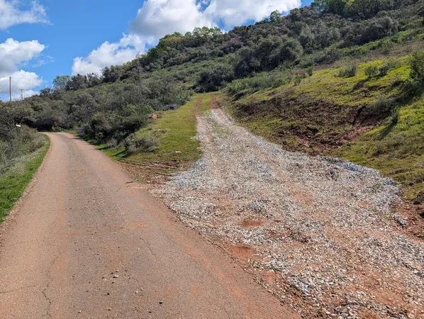 a view of a road with a yard