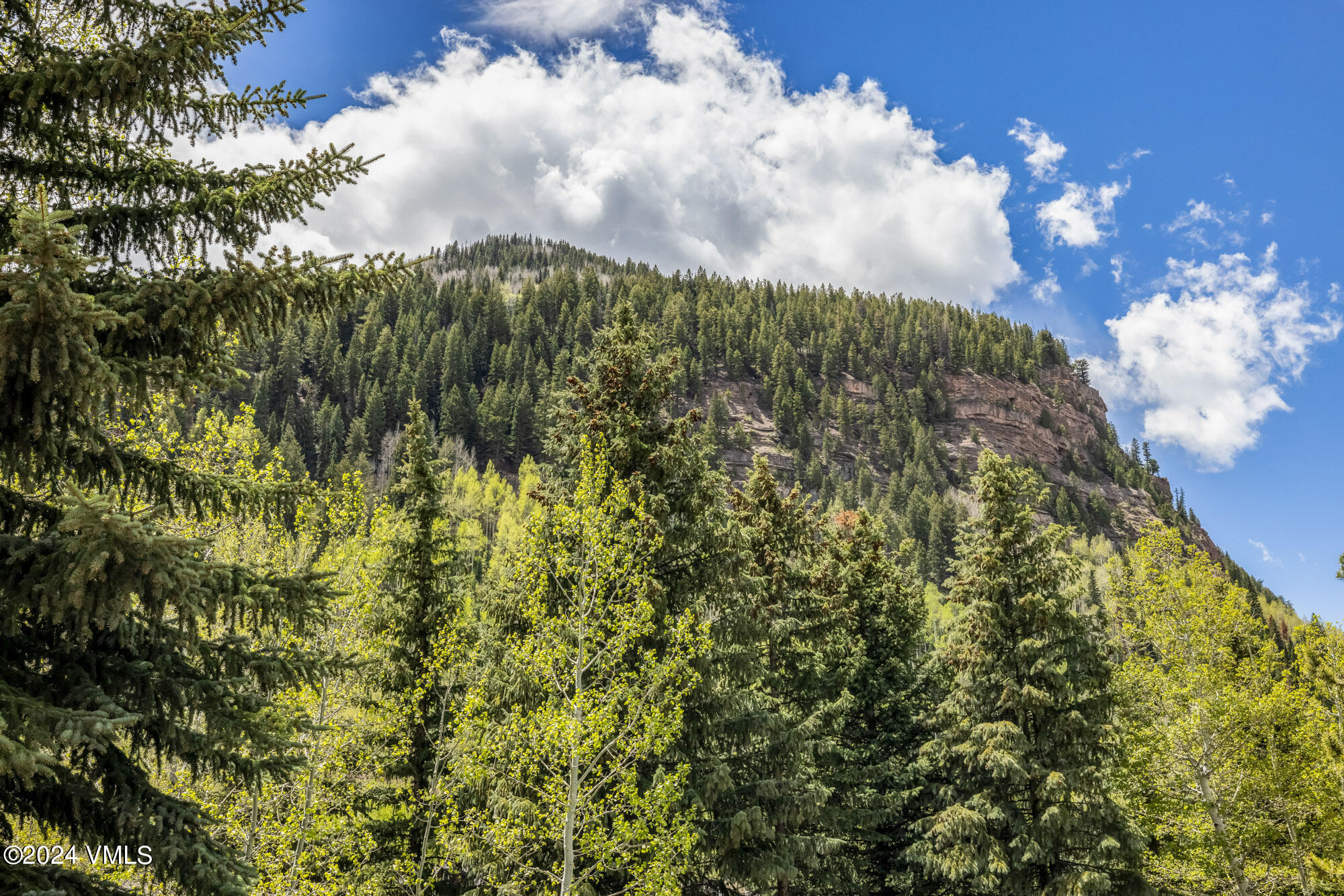 3891 Big Horn Road, Unit C Vail, CO 81657 - Photo 38 of 53 a view of a bunch of trees
