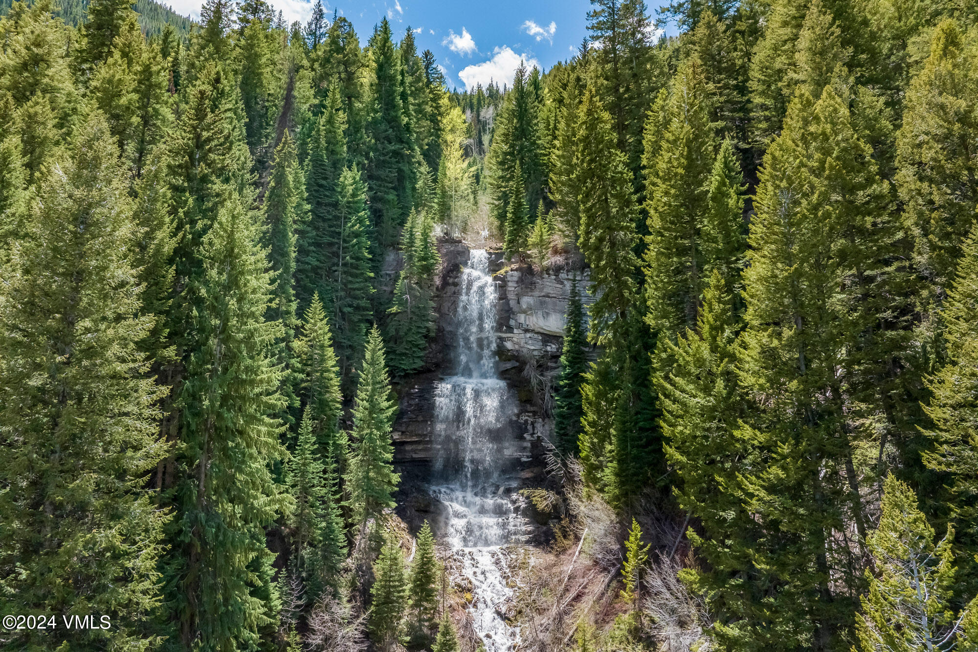 3891 Big Horn Road, Unit C Vail, CO 81657 - Photo 52 of 53 a view of a forest with trees