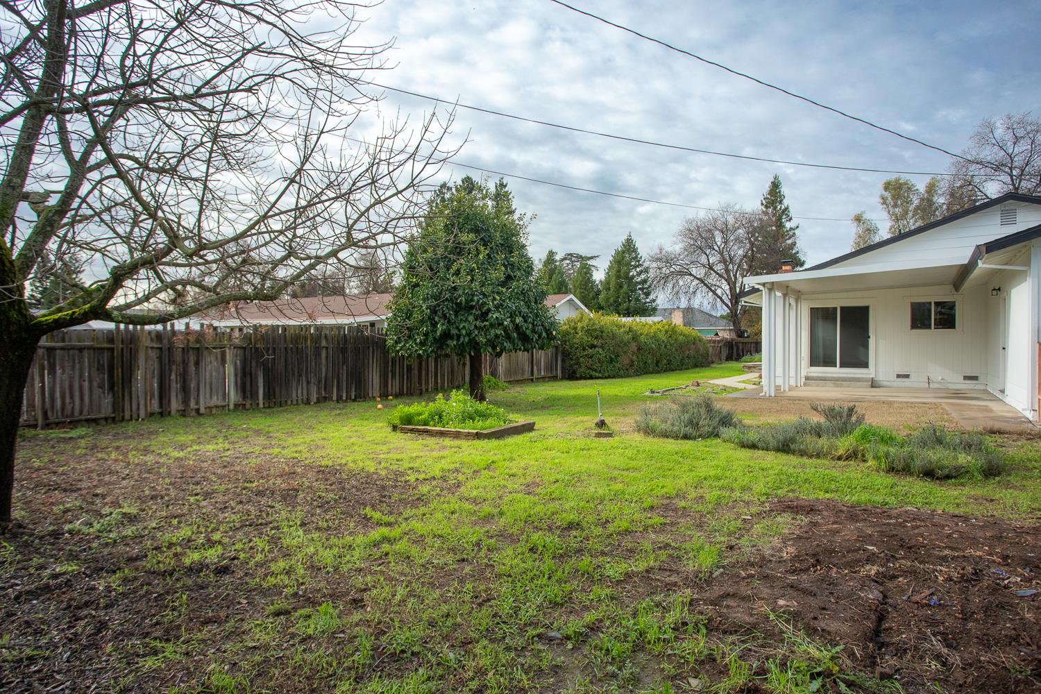 7830 Griffith Lane Sutter, CA 95982 - Photo 51 of 69 a backyard of a house with plants and large tree