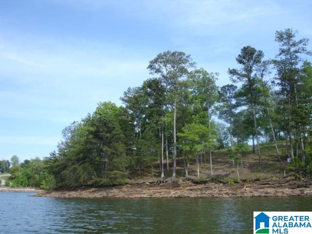 Tranquility Lane Wedowee, AL 36278 - Photo 8 of 13