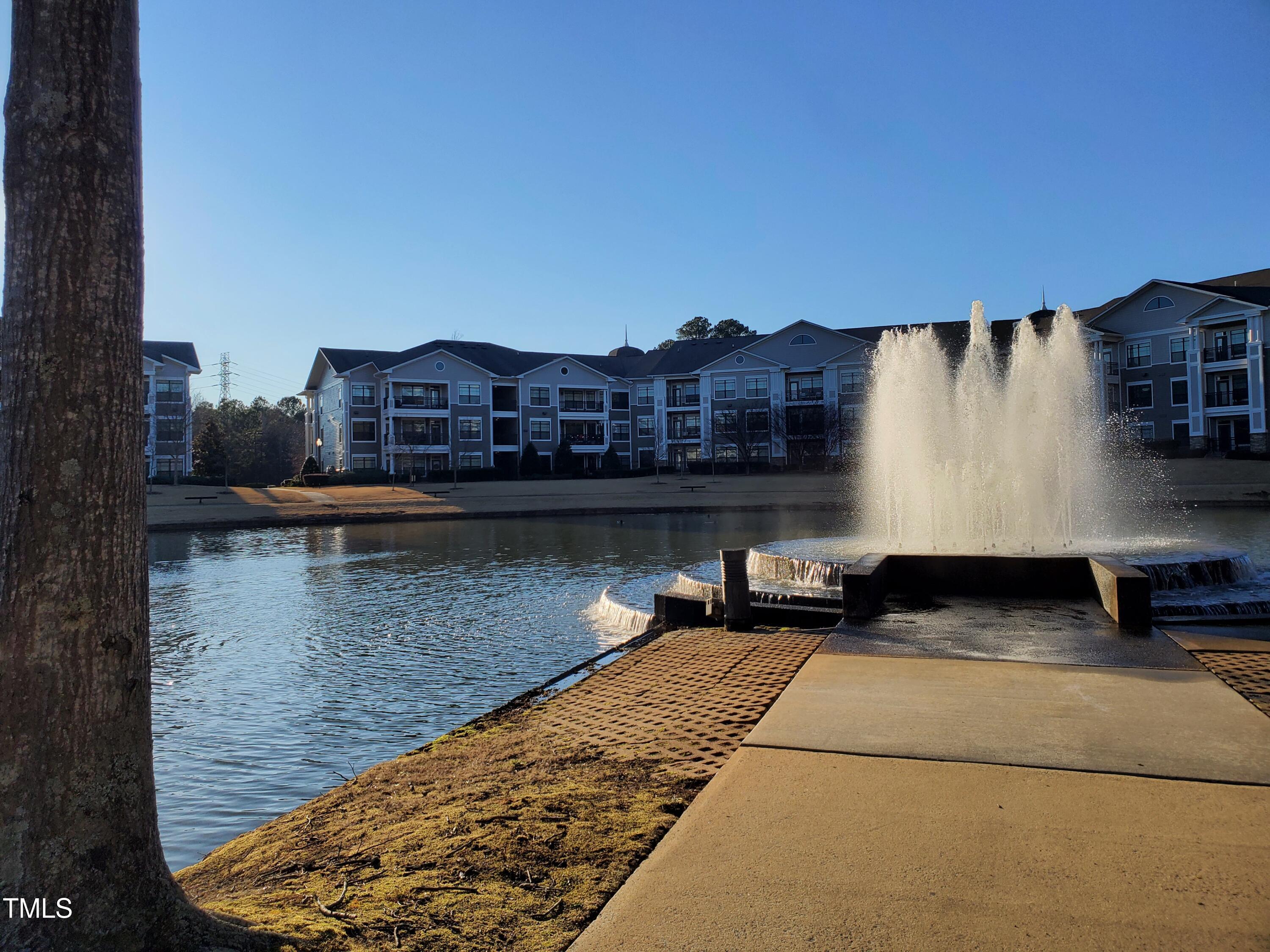 1004 Metropolitan Drive Durham, NC 27713 - Photo 26 of 28 a view of a lake with a building in the background