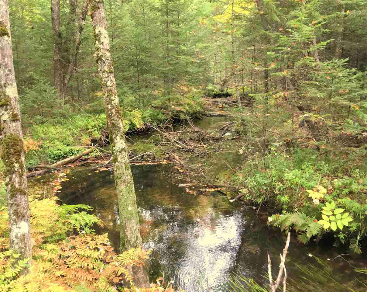 401 Dandi View Road Conway, NH 03860 - Photo 37 of 40 Gallery Image 37