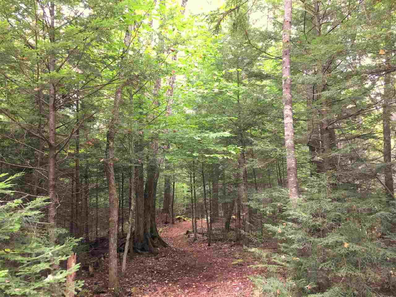 401 Dandi View Road Conway, NH 03860 - Photo 38 of 40 Gallery Image 38