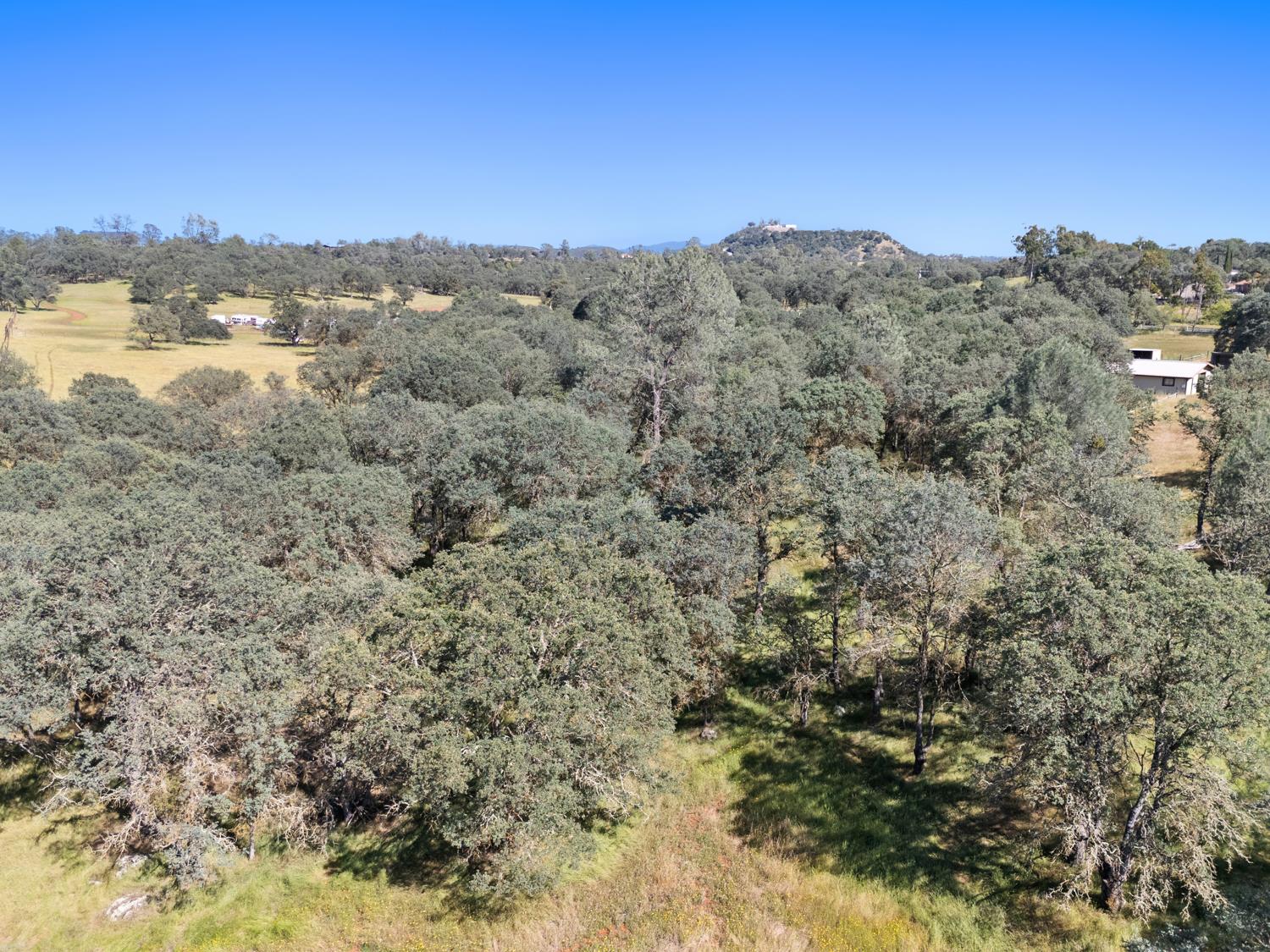 12360 Cheyenne Way Burson, CA 95225 - Photo 53 of 83