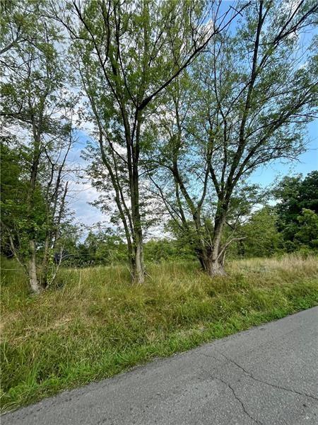 1054 Eldersville Road Burgettstown, PA 15021 - Photo 4 of 8 a backyard of a house with lots of green space