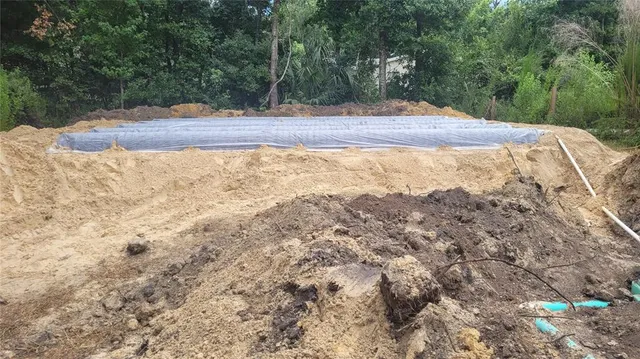 a view of a yard with large trees