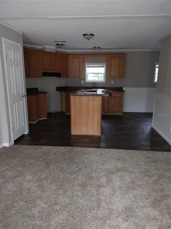 13144 Southwest 18th Street Road Ocala, FL 34481 - Photo 4 of 20 a view of kitchen with cabinets
