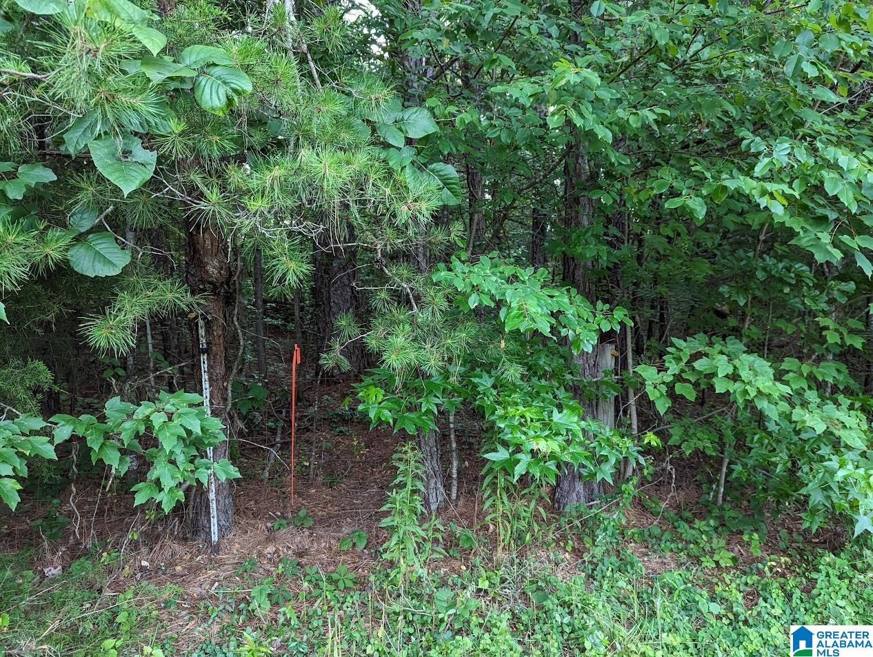 310 County Road 249 Clanton, AL 35046 - Photo 73 of 85
