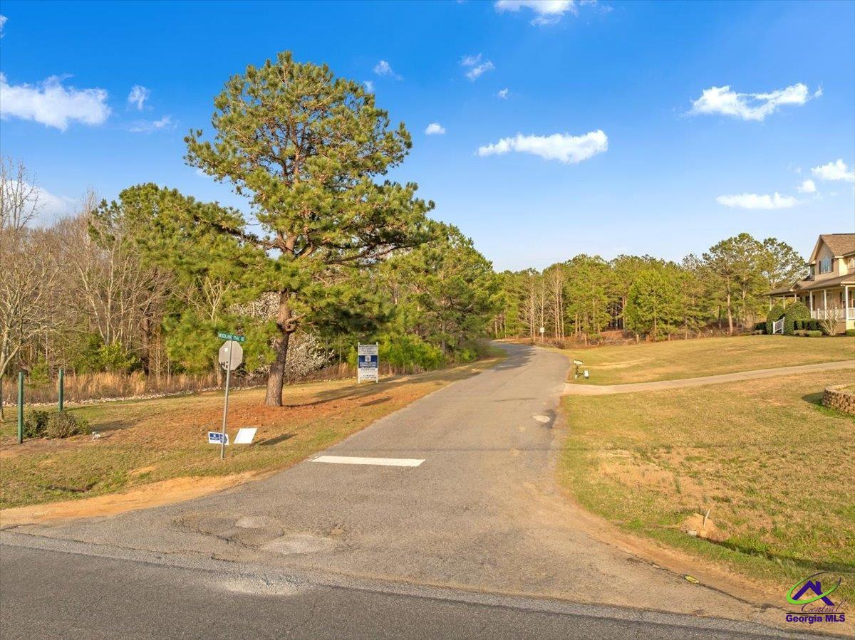 0 Woodland Trail Road Cochran, GA 31014 - Photo 20 of 20