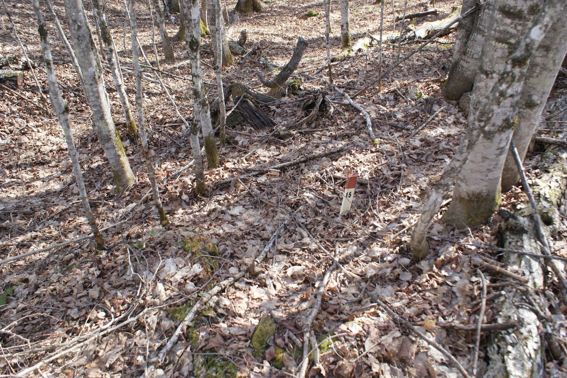 Tbd Tall Timbers Road Presque Isle, WI 54557 - Photo 9 of 16 Gallery Image 9