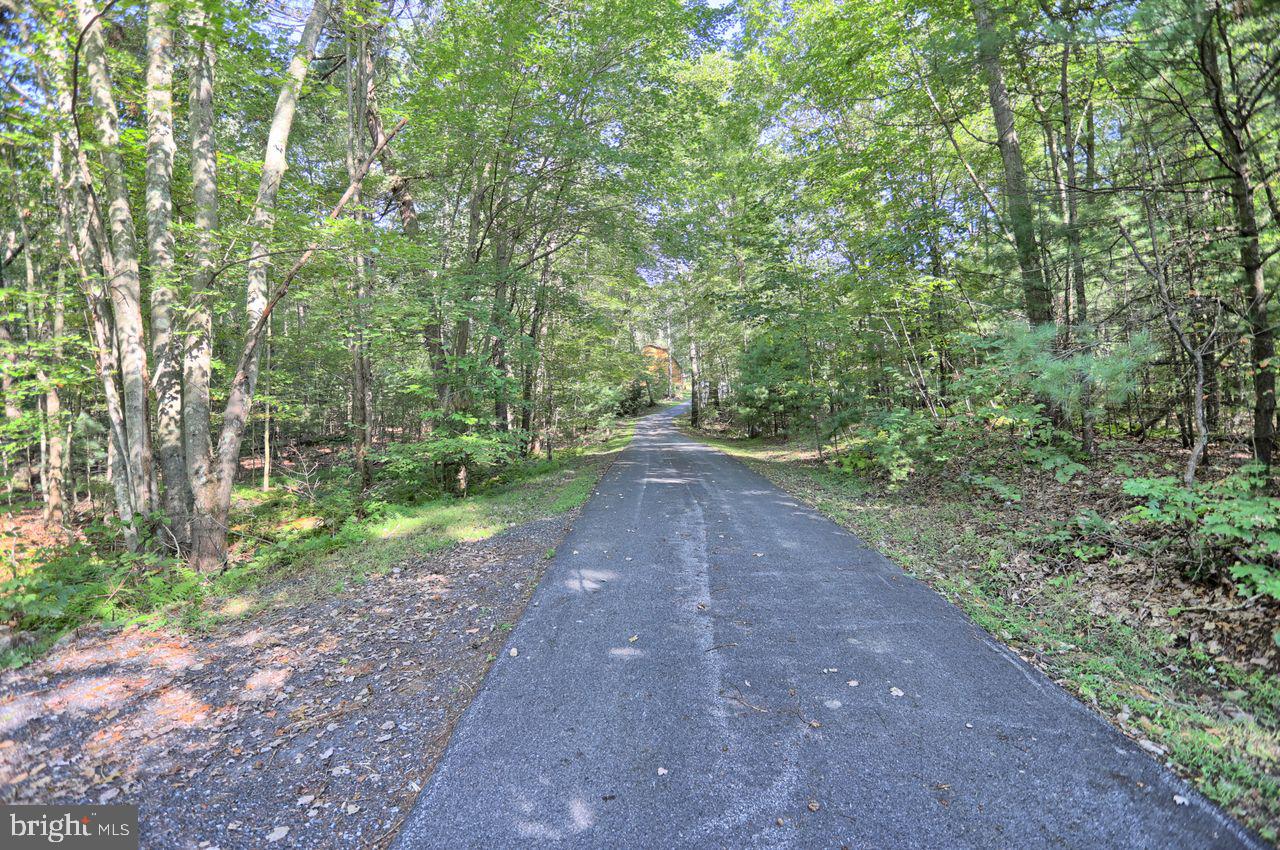 236 Pine Grove Road Newport, PA 17074 - Photo 61 of 69 Gallery Image 61
