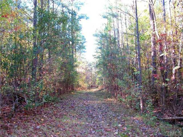 5801 Orchid Valley Road Raleigh, NC 27613 - Photo 24 of 25 From the backyard a beautiful wooded trail leads you to Bartons Creek. View