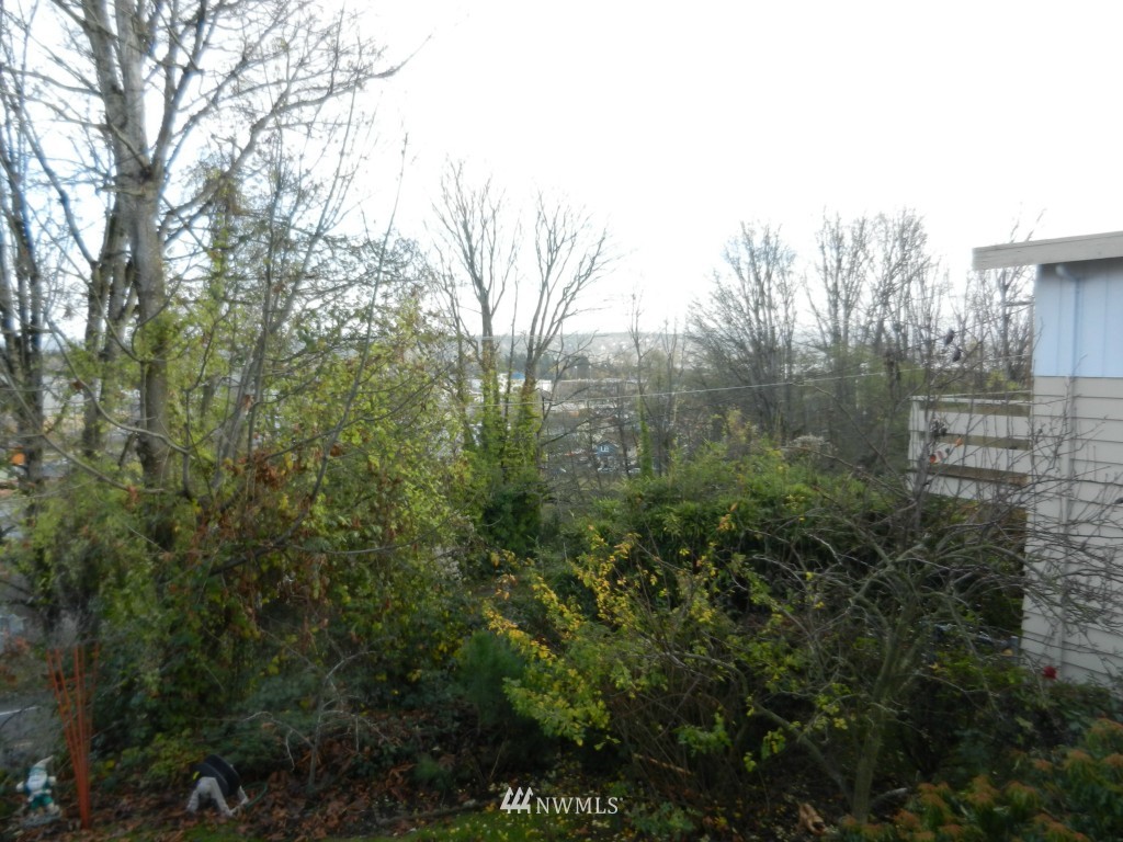 9065 Renton Avenue South Seattle, WA 98118 - Photo 19 of 19 Gallery Image 19
