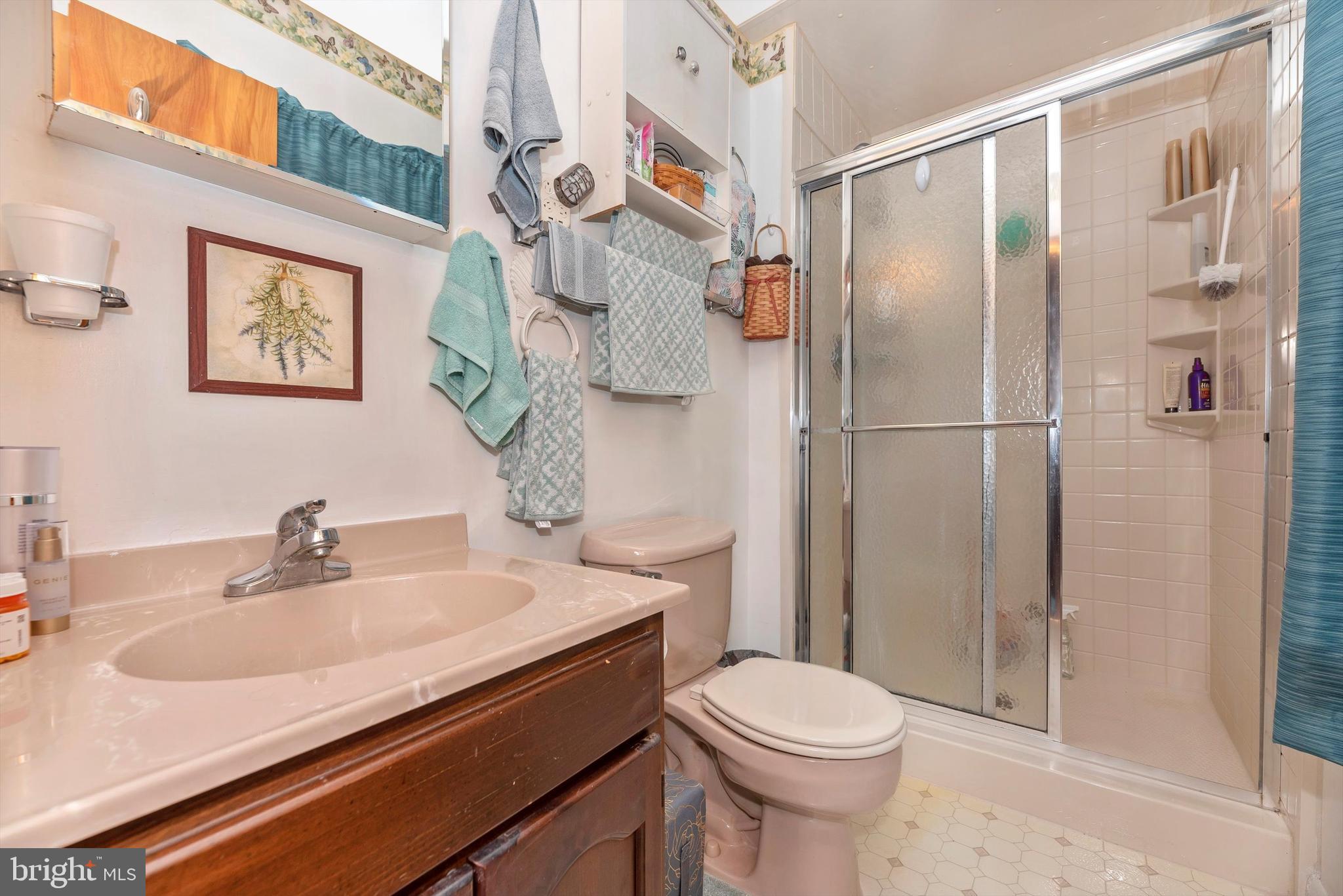 7019 Ridge Road Frederick, MD 21702 - Photo 6 of 56 Primary Bathroom