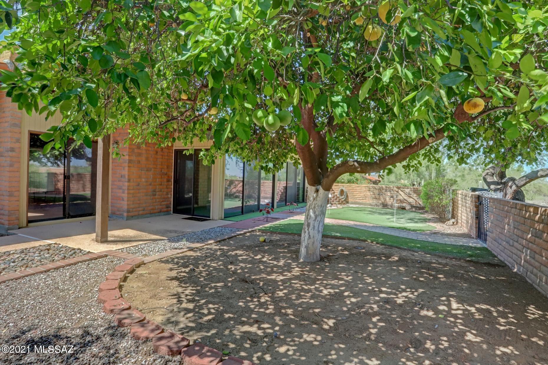 8449 North Coral Ridge Loop Tucson, AZ 85704 - Photo 32 of 36