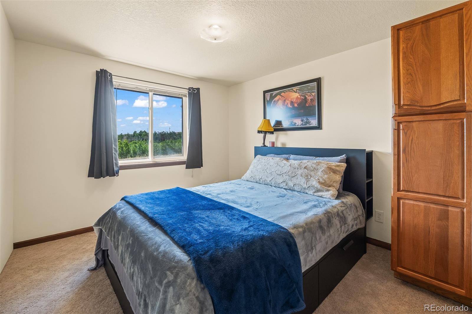 6037 Ranch Road Hartsel, CO 80449 - Photo 28 of 49