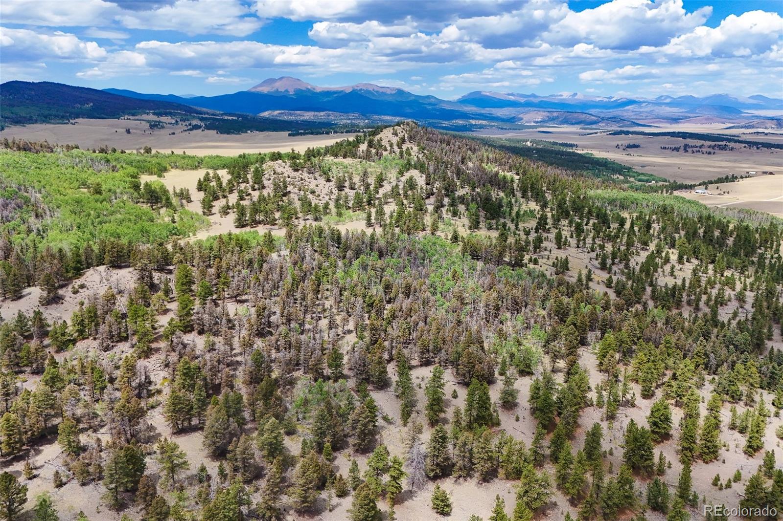 6037 Ranch Road Hartsel, CO 80449 - Photo 7 of 49