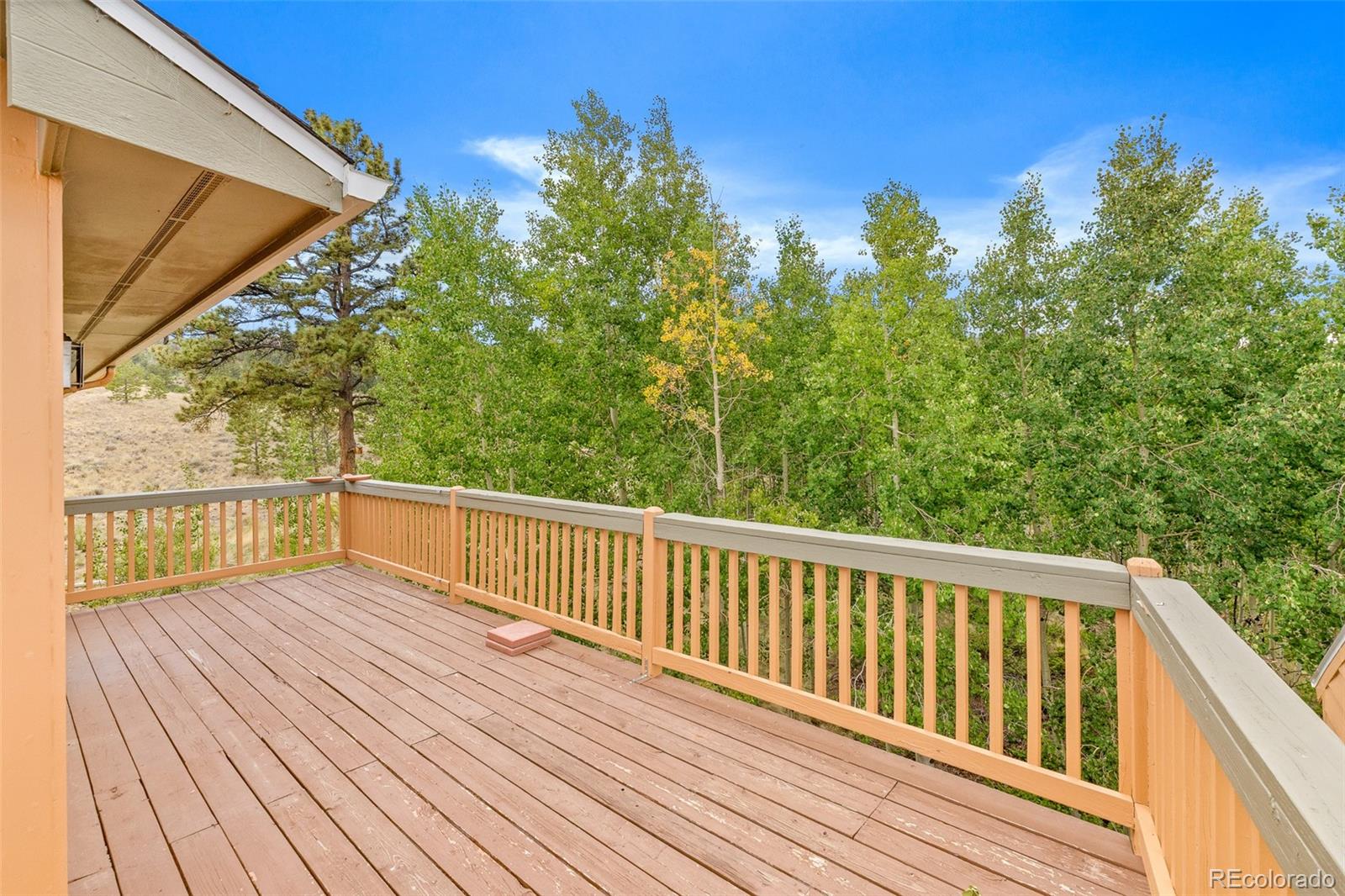 6037 Ranch Road Hartsel, CO 80449 - Photo 9 of 49