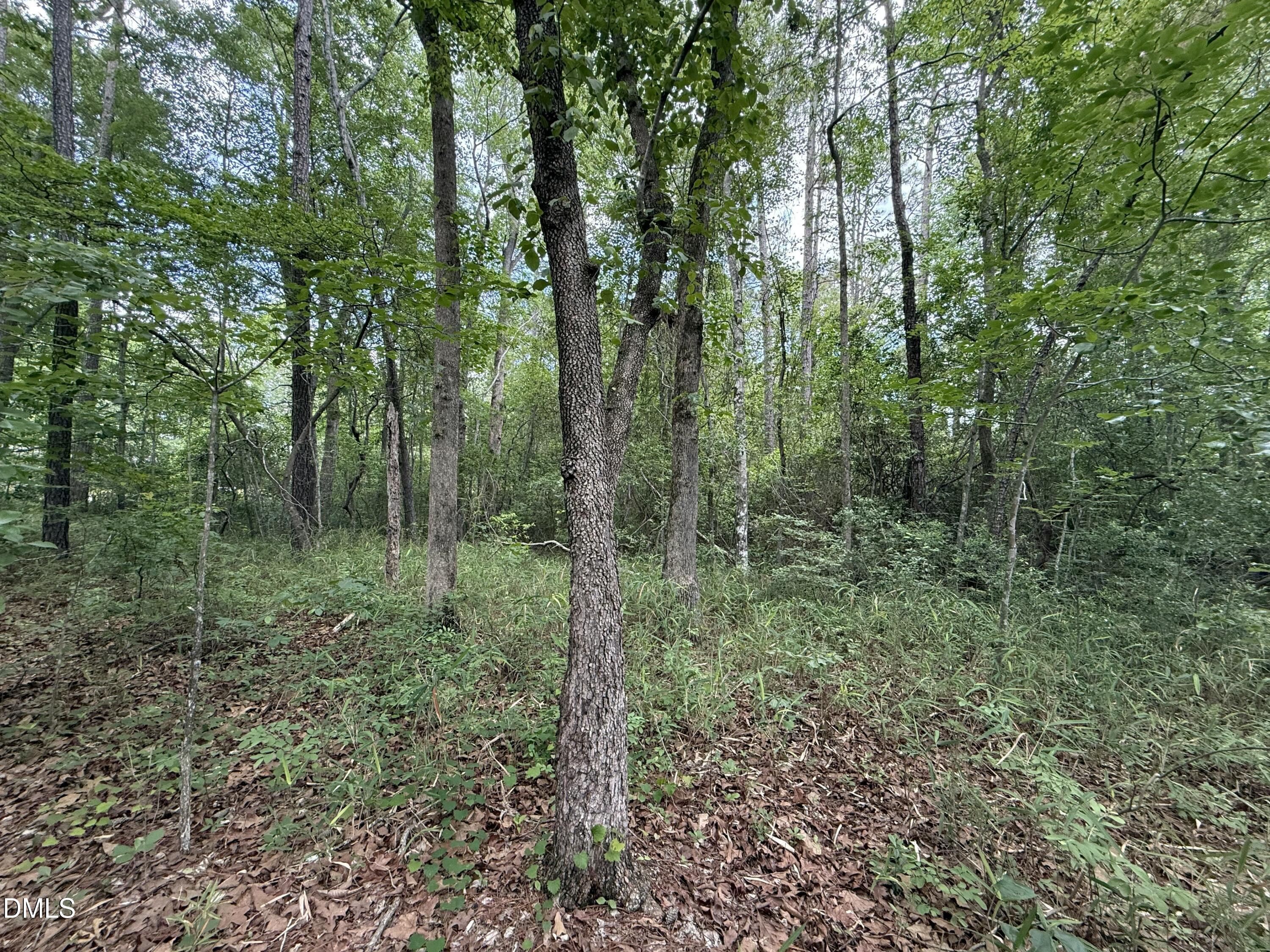 0 Elfman Drive Spring Lake, NC 28390 - Photo 17 of 40 a view of forest and trees