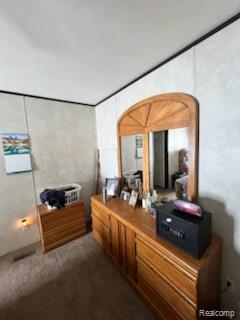 121 Haskin Street Boon, MI 49618 - Photo 12 of 13 Bedroom featuring dark colored carpet