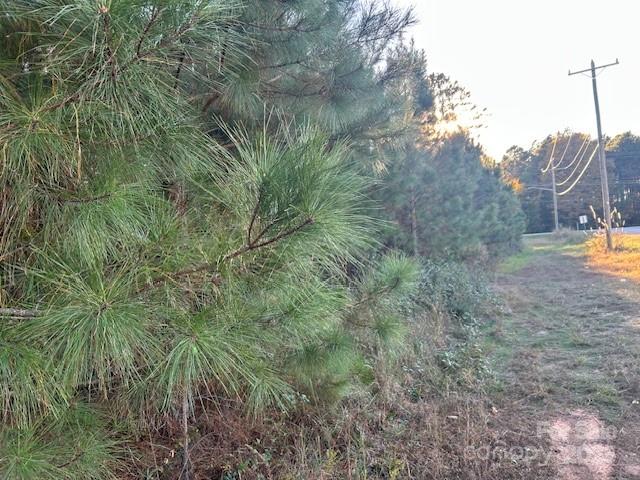 0 Edwards Road Fort Lawn, SC 29714 - Photo 3 of 5 a view of a yard with a tree