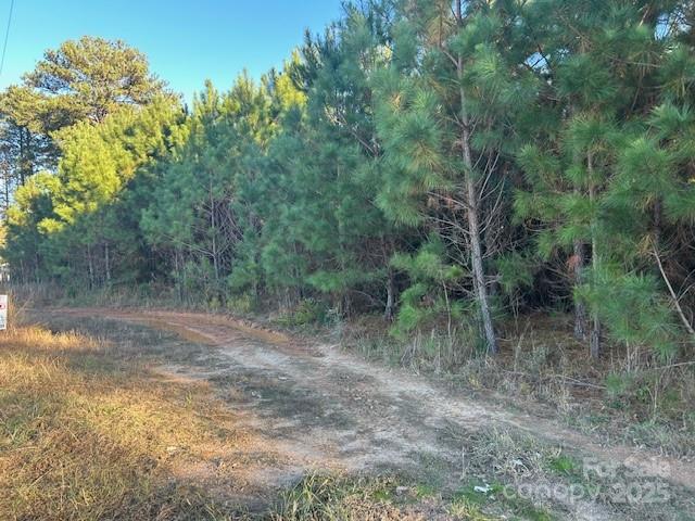 0 Edwards Road Fort Lawn, SC 29714 - Photo 5 of 5 a view of a yard with a tree
