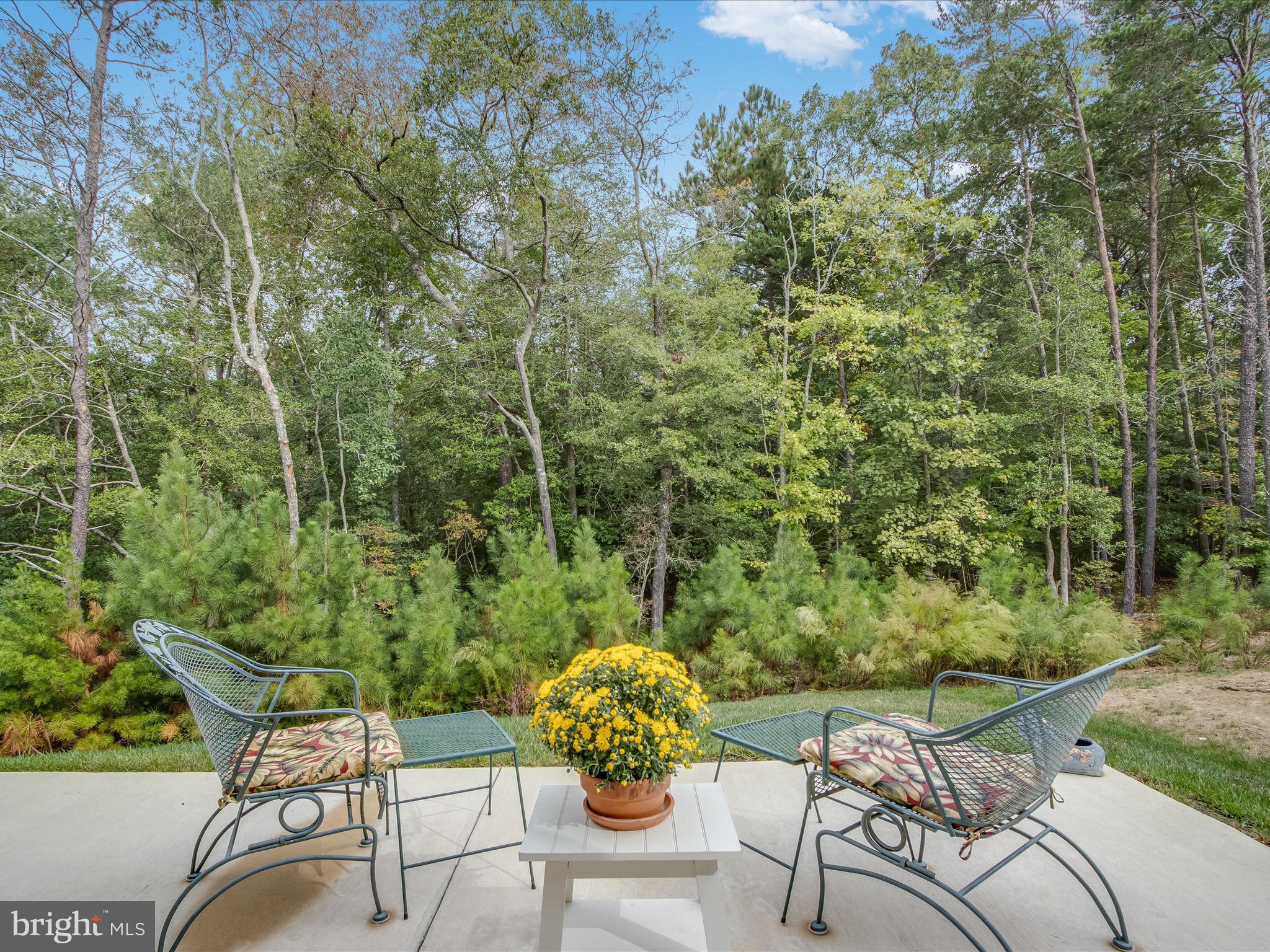 22657 Deep Woods Road Milton, DE 19968 - Photo 3 of 51 a view of a chairs and table in the patio