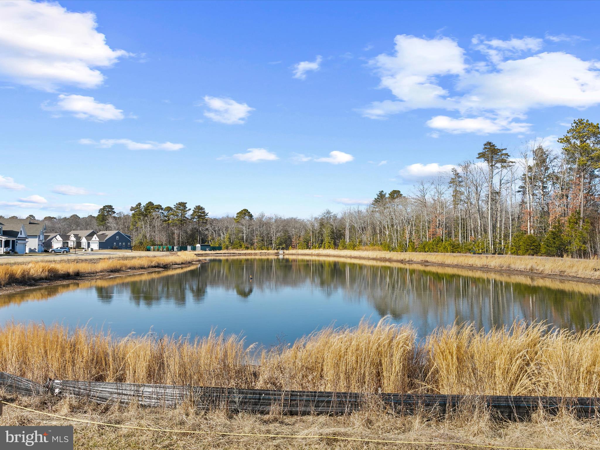 22657 Deep Woods Road Milton, DE 19968 - Photo 51 of 51 a view of a lake with outdoor space