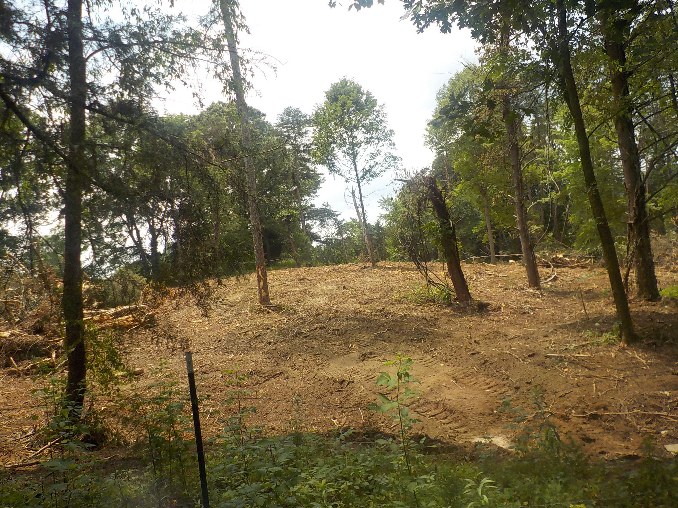 5.67-acres Old Rutledge Pike Blaine, TN 37709 - Photo 7 of 11 009