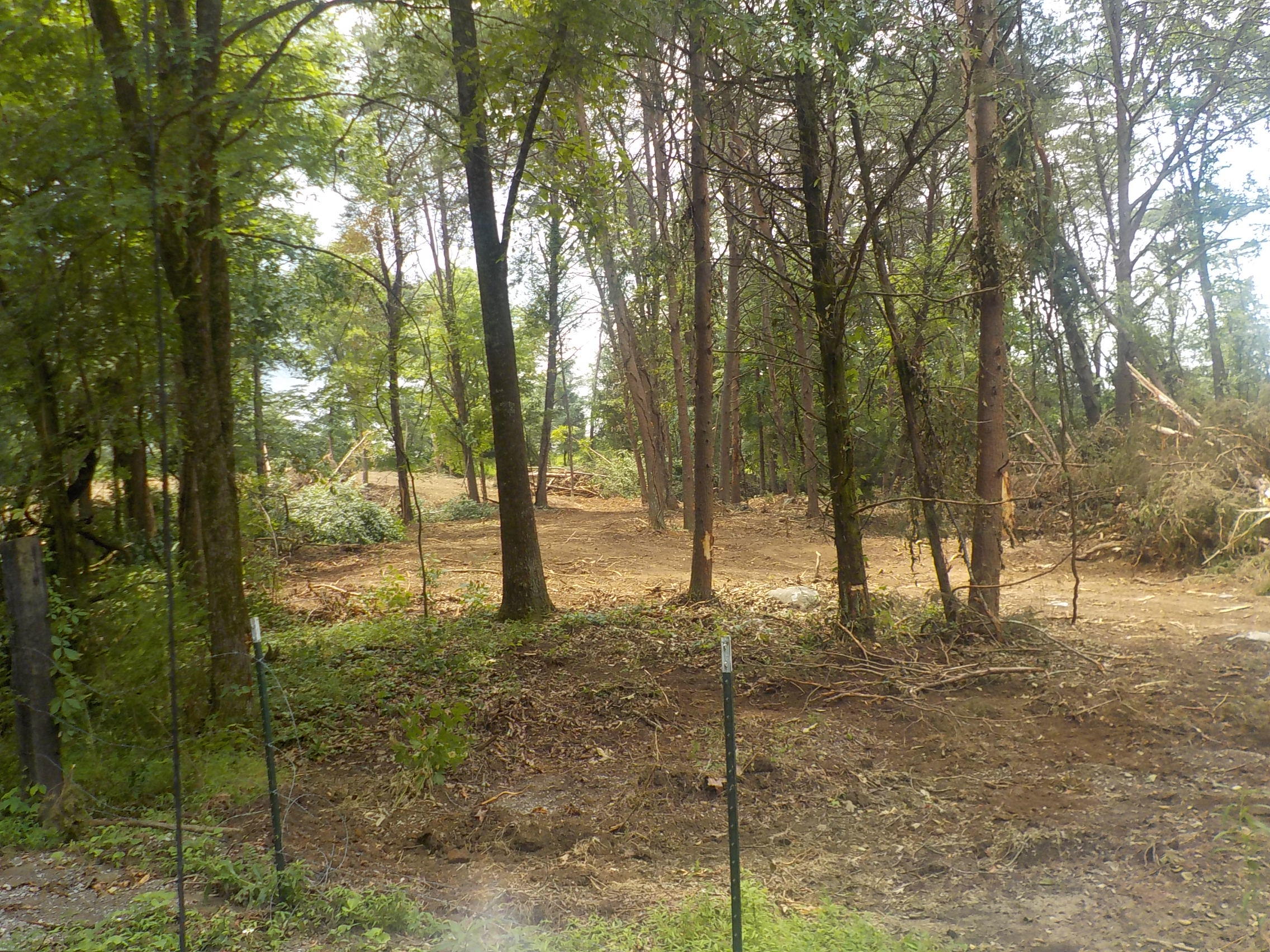 5.67-acres Old Rutledge Pike Blaine, TN 37709 - Photo 8 of 11 008