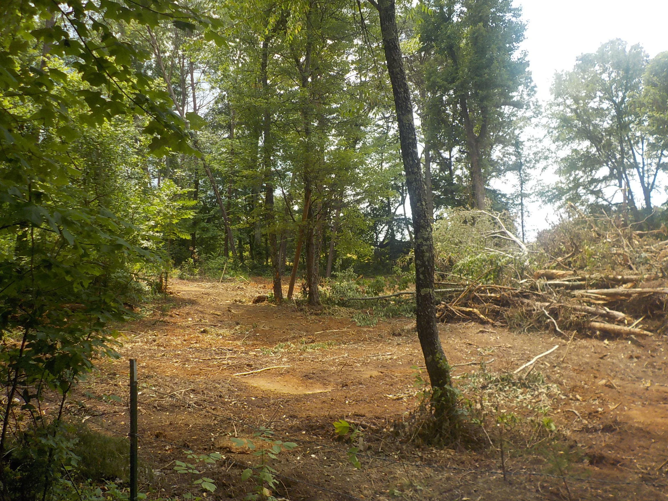 5.67-acres Old Rutledge Pike Blaine, TN 37709 - Photo 9 of 11 010