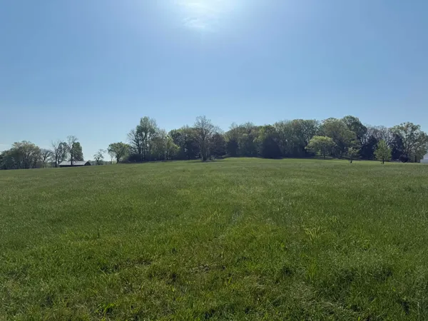 a view of a field with trees in the background