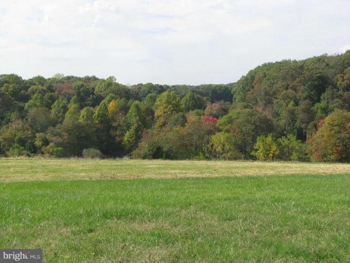 1918 Whiteford Road Street, MD 21154 - Photo 2 of 6 Wooded View / Acreage