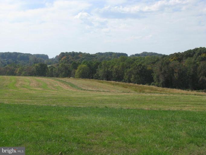1918 Whiteford Road Street, MD 21154 - Photo 3 of 6 Wooded View / Acreage 2