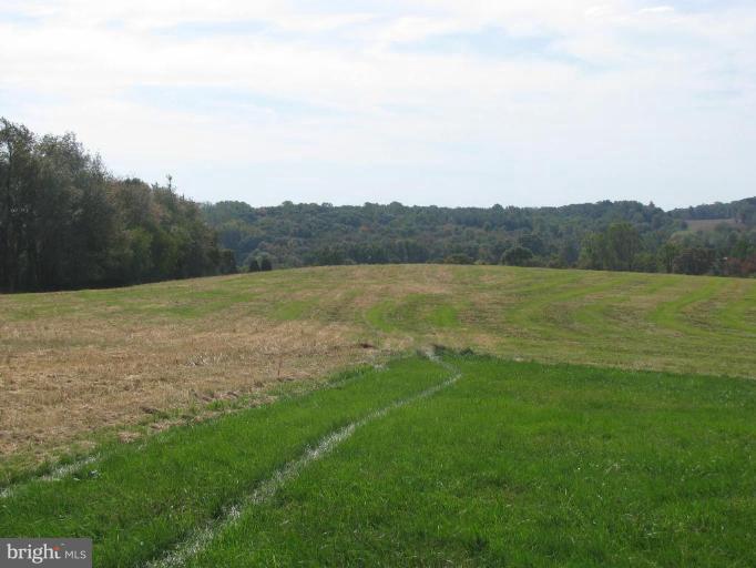1918 Whiteford Road Street, MD 21154 - Photo 4 of 6 Wooded View / Acreage 3
