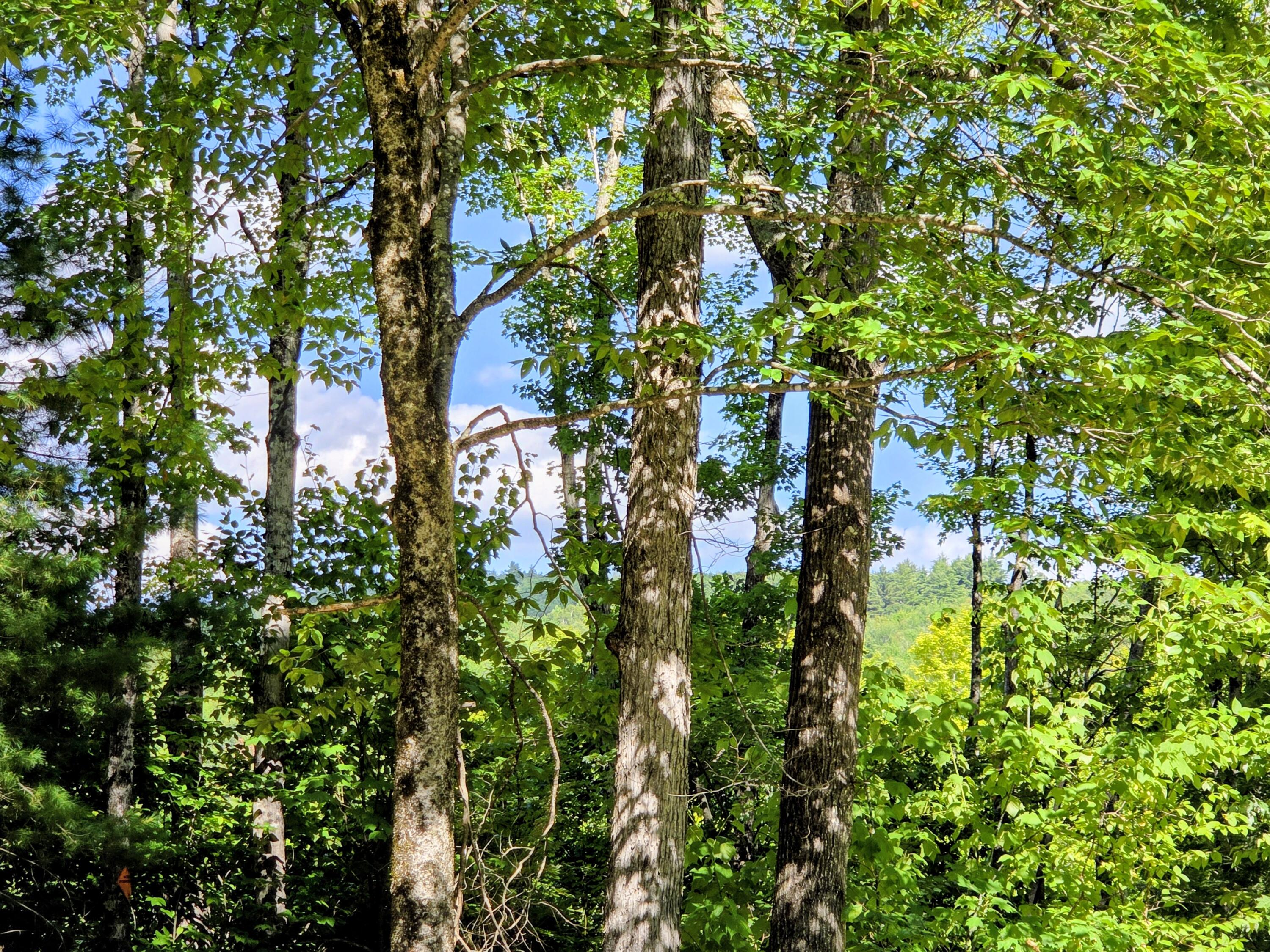 116 Cross Road Avon, ME 04966 - Photo 26 of 31 116 Cross Road
