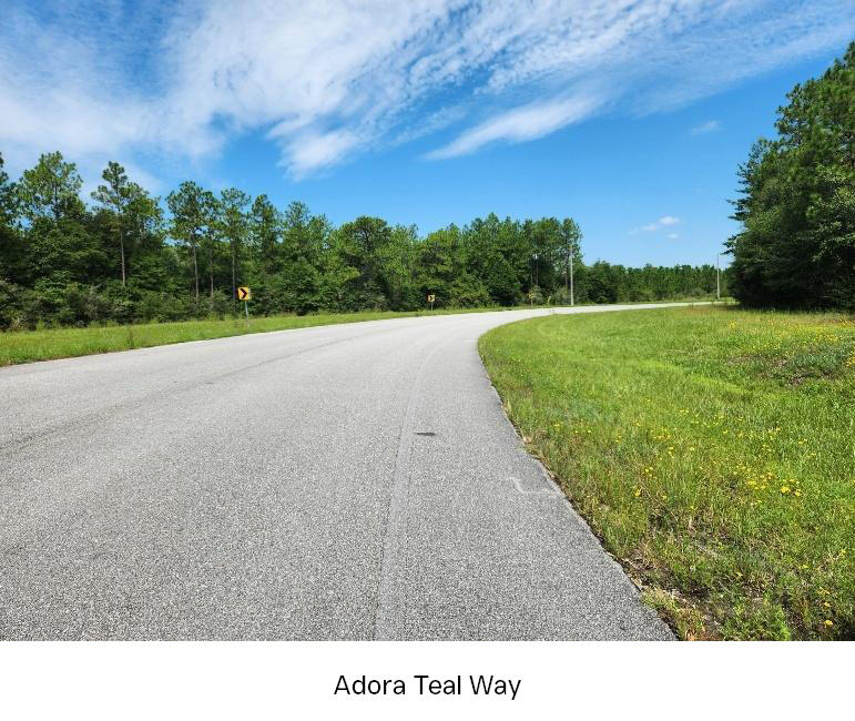 Tbd John Givens Road Crestview, FL 32539 - Photo 10 of 15 John Givens Road_09